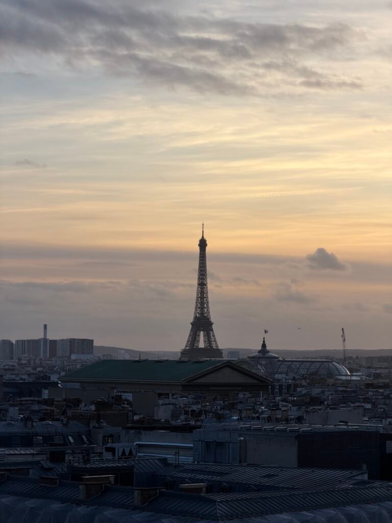 Tour Eiffel e paesaggio di Parigi